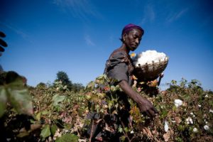 Fairtrade cotton farmers
