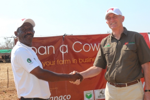 1 'Loan a Cow' beneficiary Chibombo farmer Gillard Shakete shaking hands with ZANACO CEO Bruce Dick