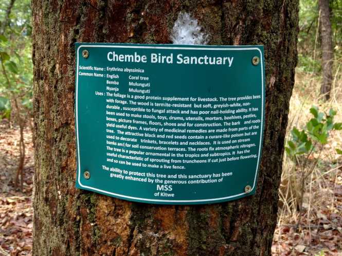 Govt. to support Chembe Bird Sanctuary in Kalulushi