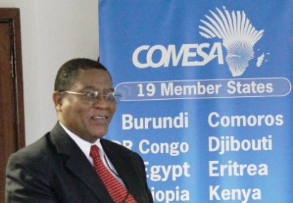COMESA secretary general Sindiso Ngwenya