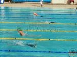 CANA Zone 3 & 4 Swimming Championships, Lusaka, Zambia 25 -28 April 2013   4c9da7b2-b3d9-4ec4-8cef-57f06b9adbc0_640x480   LuakaVoice.com