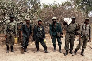 Anti-Poaching unit from ZAWA (Zambian Wildlife Authority)