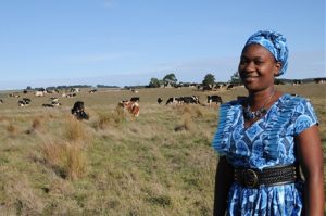 Zambian woman learns about dairy farming