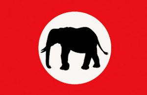 barotseland royal flag