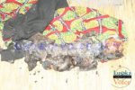 Remains of a five year old boy whose mother set the house ablaze in Shangombo District of Western Province after she returned from a drinking spree. –  Lusakavoice.com -1