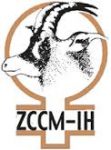 ZCCM Investment Holdings Plc