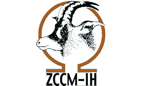 ZCCM Investment Holdings Plc