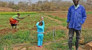 Arnold Chimfwembe (right), 62, farms 6 acres in Ngwerere, Zambia. Two or three days a week, he takes greens to a nearby packhouse that supplies produce to the Pick n Pay in Lusaka.