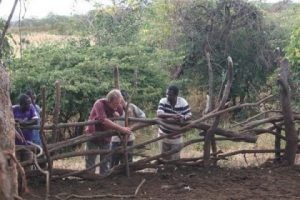 Grassroots Trust engages with land owners, often through Traditional Authorities or local groups to stimulate discussion over natural resource and environmental management.