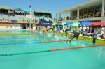 Africa Junior Swimming Champs Final Medal Count