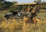 African Safari | Mfuwe Lodge