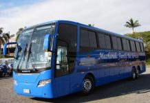 Mazhandu Family Bus Service