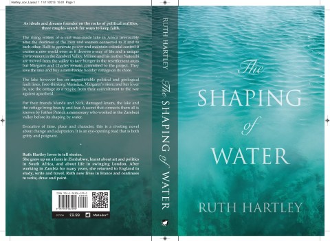 The Shaping of Water - By Ruth Hartley