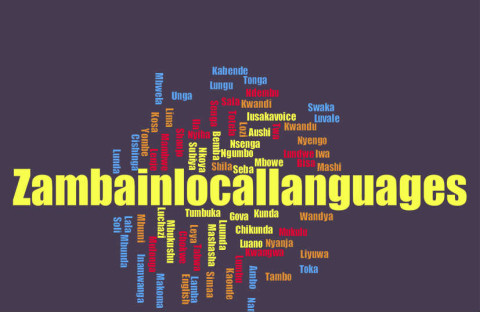 Zambian local Languages