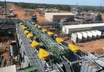 Barrick Gold, Zambia