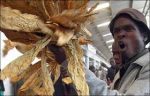 Chipata Farmers Unhappy with Tobacco Price