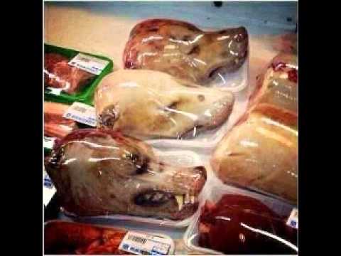 Dog Meat And Head