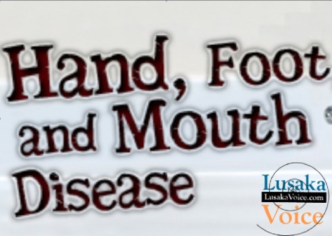 Foot and mouth disease - Screen Capture by lusakavoice.com