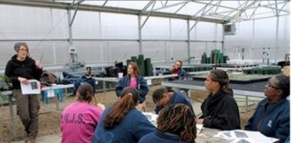 Kerry Wright, deputy director of Cook County Jail's Urban Farming Initiative, leads a lecture with inmates on plant health. (Homa Bash:MEDILL)