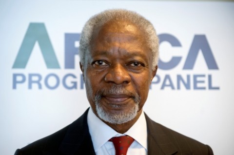 Kofi Annan, Chair of the Africa Progress Panel
