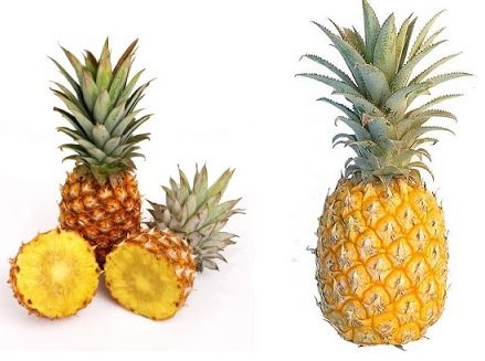 pineapple Mwinilunga - lusakavoice.com