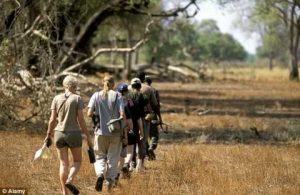 A general file photo of a walking safari in the South Luangwa National Park. The couple, who live in Monte Carlo, are seeking compensation in excess of £300,000