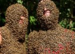 Annual Bee Beard Competition in Canada