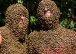 Annual Bee Beard Competition in Canada