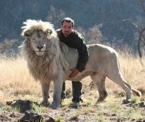 Kevin Richardson is known as the Lion Whisperer. Step into his world at the Welgedacht Private Game Reserve in South Africa and you’ll soon discover why