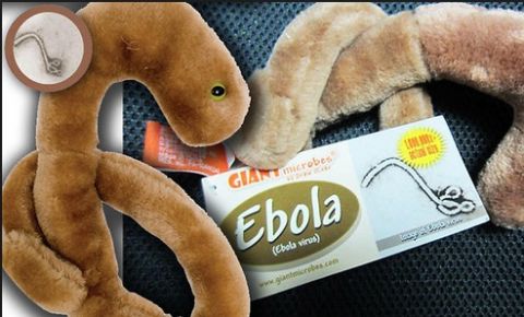 Ebola toys