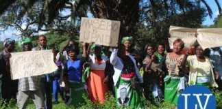 Score of PF cadres at the the gate of National Assembly of Zambia chatting slogans and showing off placards against Chongwe MP Hon Sylvia Masebo on Tuesday afternoon.