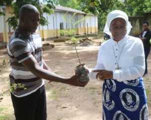 Chongwe Paris priest Fr Gabriel Mwanamwalye and Chieftness Nkomesha Mukambo II admiring a tree before plantation