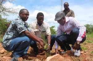 from left to right- Rwanda Refugee Community leader Dr Jean Marie Vianney Nderereremungu, Chieftainess Nkomesha representative headman Jashon Tatile and Rwanda Refugee Community leader Egide Kasuba launching the tree plantation