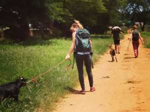 Jack, two other Dutch volunteers and I walked five goats (two of which were pregnant) across Livingstone for two and a half hour