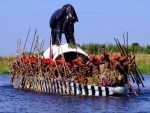 This picture, from the internet, shows the Lozi King’s barge and it’s 100+ paddlers during the Kuomboka Ceremony.