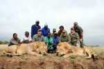 South Africa Lion Hunting | Client Review gothunts