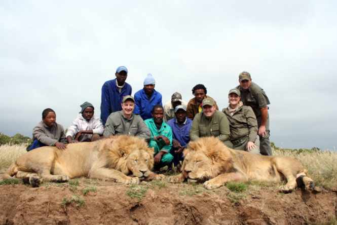 South Africa Lion Hunting | Client Review gothunts.com