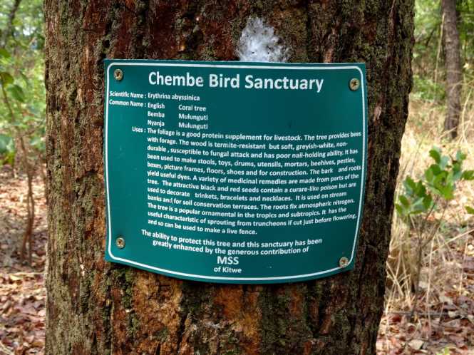 Chembe Bird Sanctuary, Kalulushi