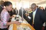 Senior Gemmologist Michelle Naambo talks to Mines Minister Christopher Yaluma at the Mines and Minerals Development stand at ZIMEC in Lusaka on 23 June. Picture By Hope Mkunte