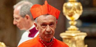 Cardinal Luis Ladaria